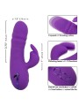 Vibratore Calexotics Manhattan Beach Marvel Rabbit Viola Di California Dreaming - CALEXOTICS - Vibratori Rabbit | erosidea.com