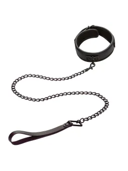 erosidea.com - Collari e Guinzagli