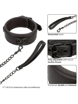 erosidea.com - Collari e Guinzagli