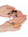 Kink - Pinze Per Capezzoli A Catena Con Pendente In Corno 30 Cm - KINK NIPPLE GRIP - Pinzette Capezzoli | erosidea.com