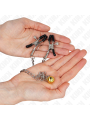 Kink - Pinze Per Capezzetti A Catena Con Campana 30 Cm - KINK NIPPLE GRIP - Bondage | erosidea.com
