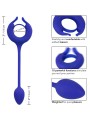 Calexotics - Admiral Anello Per Pene Pesato Blu - CALEXOTICS - Anelli Fallici | erosidea.com