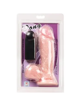 erosidea.com - BAILE VIBRATORS