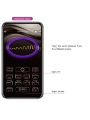 App Jayleen Vibrator Telecomando Viola - PRETTY LOVE LED - Stimolatori | erosidea.com
