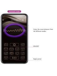App Elvira Kegel Balls Telecomando Viola - PRETTY LOVE - Stimolatori | erosidea.com