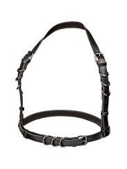 Calexotics - Euphoria Imbracatura Con Fibbia Plus Taglia Nera - CALEXOTICS - Bondage | erosidea.com