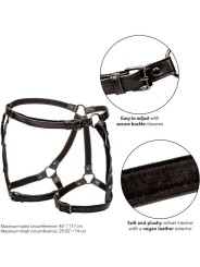 Calexotics - Euphoria Pettorina Da Equitazione Plus Taglia - CALEXOTICS - Bondage | erosidea.com