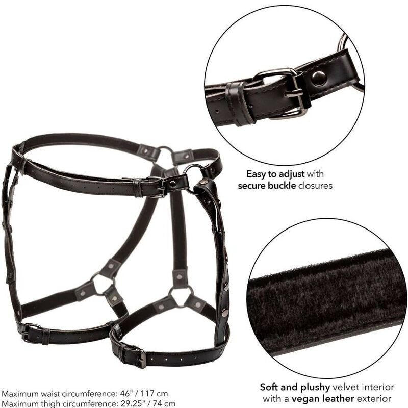 Calexotics - Euphoria Pettorina Da Equitazione Plus Taglia - CALEXOTICS - Bondage | erosidea.com