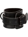 Calexotics - Euphoria Polsini Alla Caviglia - CALEXOTICS - Manette e Polsini | erosidea.com
