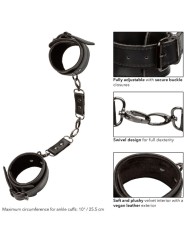 Calexotics - Euphoria Polsini Alla Caviglia - CALEXOTICS - Manette e Polsini | erosidea.com