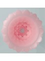Pretty Love - Athena Alice Masturbatore Maschile Rosa - PRETTY LOVE - Masturbatori | erosidea.com