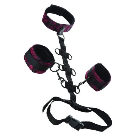 Calexotics - Scandal Comporal Support Con Collo - CALEXOTICS - Collari e Guinzagli | erosidea.com