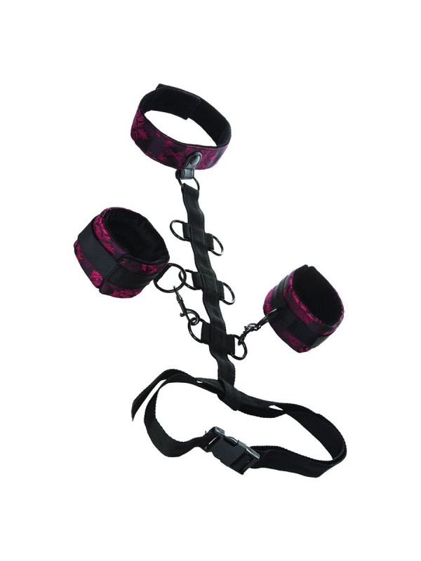 Calexotics - Scandal Comporal Support Con Collo - CALEXOTICS - Collari e Guinzagli | erosidea.com