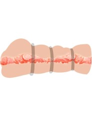 Crazy Bull - Masturbatore Vagina Con Anelli - CRAZY BULL - Anelli Fallici | erosidea.com