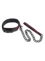 Calexotics - Scandal Collana Con Cinturino Nero - CALEXOTICS - Collari e Guinzagli | erosidea.com