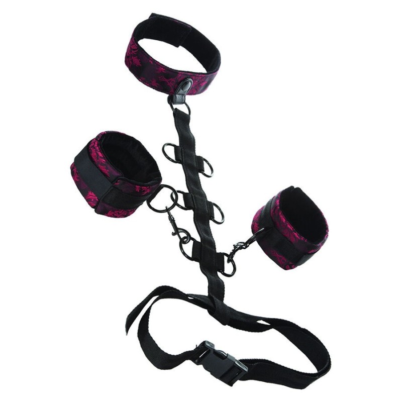 Calexotics - Scandal Comporal Support Con Collo - CALEXOTICS - Collari e Guinzagli | erosidea.com