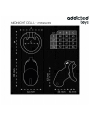 Addicted Toys Locked - Mindnight Cell Gabbia Pene Taglia L - ADDICTED TOYS LOCKED - Costrittivi | erosidea.com