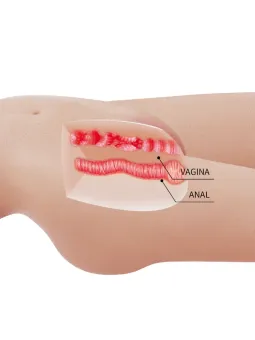 erosidea.com - Bambole del Sesso