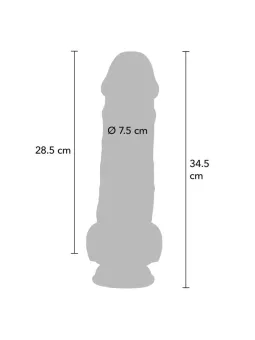erosidea.com - Dildo Realistici
